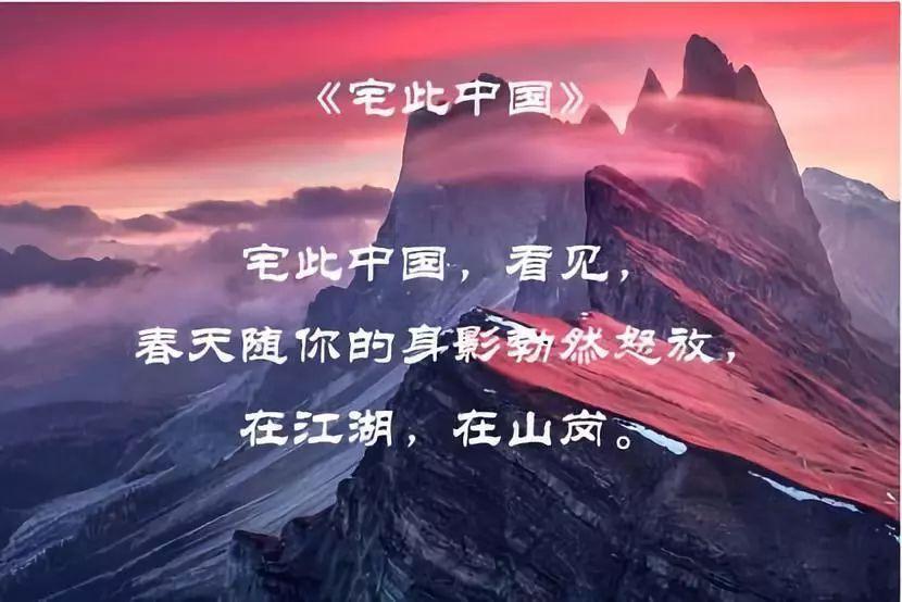 最新第5版《海蒂怀孕大百科》PDF下载: 高清电子书+免费分享!