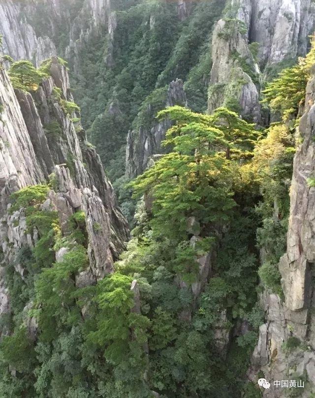 男孩担心考砸了父母生气将家里打扫干净，如果你的孩子考砸了你会怎么对待孩子？